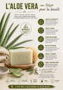 les bienfaits d el'aloe vera dans les savons